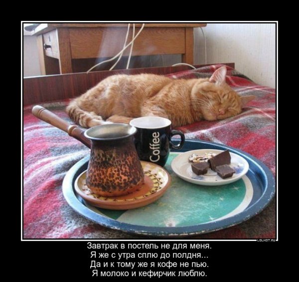 Кофе прикол