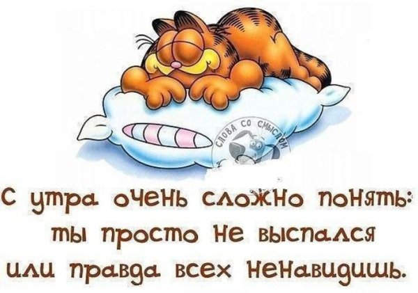 Смешные цитаты с добрым утром