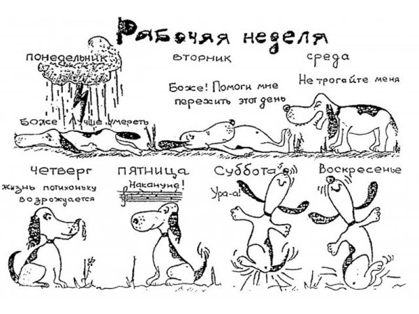 Рабочая неделя картинки