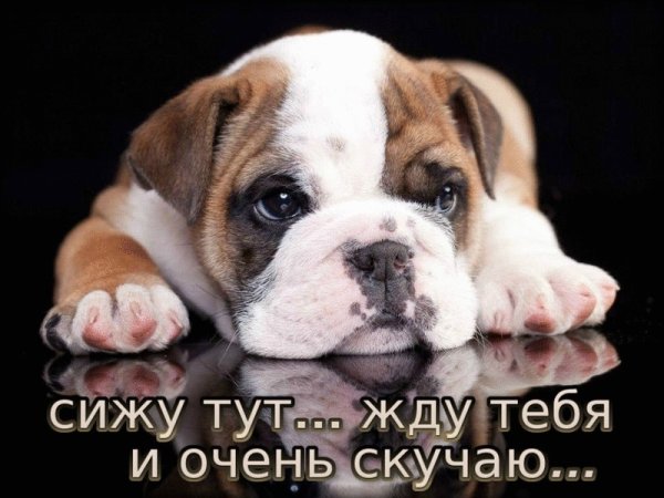 Скучаю очень очень