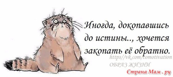 Жду счастья