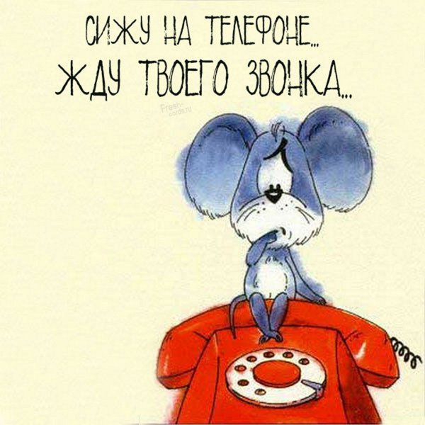Открытка жду звонка