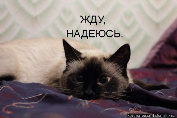 Я жду картинки