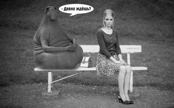 Юмор в фотографиях