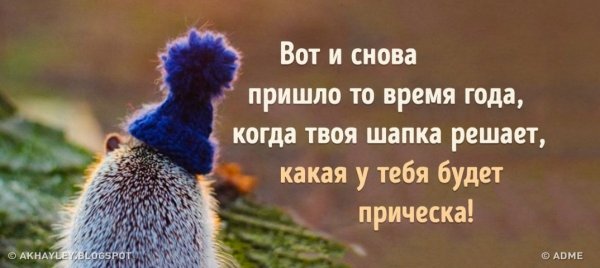 Пришла зима пипец прическе