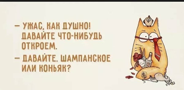 Смешные высказывания про выходные в картинках