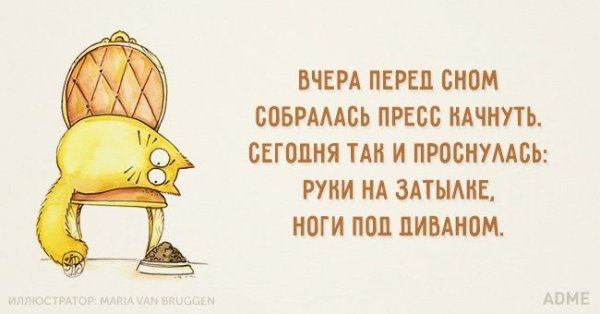 ADME приколы