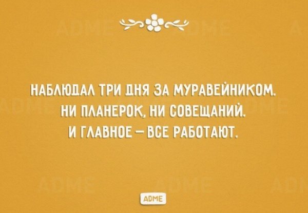 ADME приколы