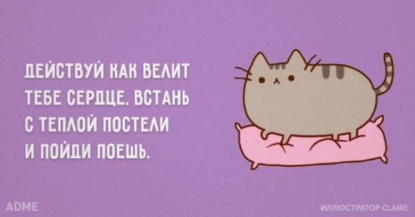 ADME смешные картинки