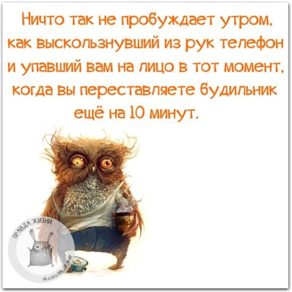 Веселые высказывания с добрым утром