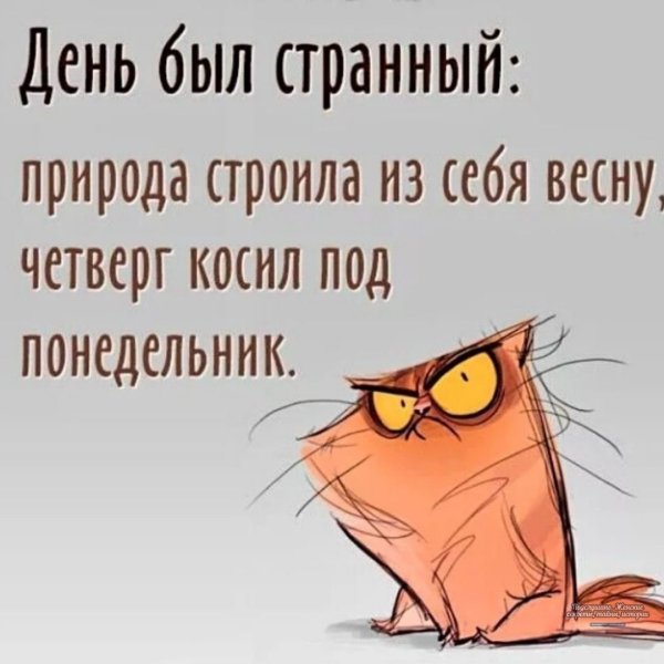 Цитаты про четверг