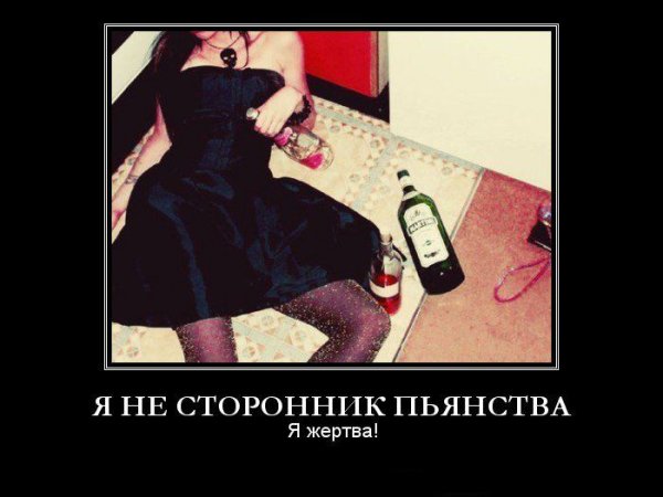 Приколы про алкоголь