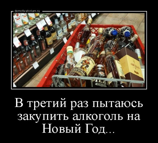 Новый год алкоголь прикол