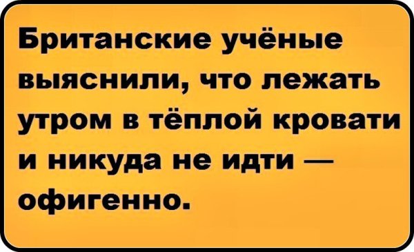 Анекдот утром