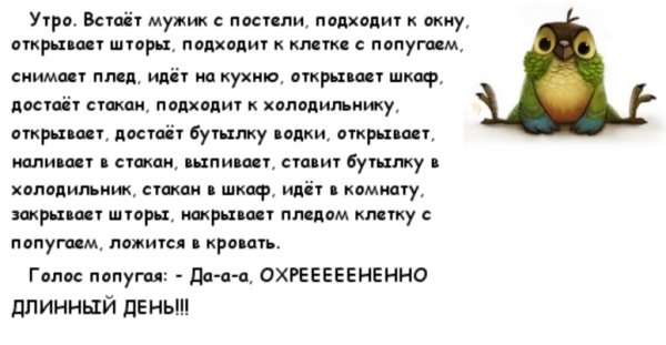 Анекдоты с добрым утром