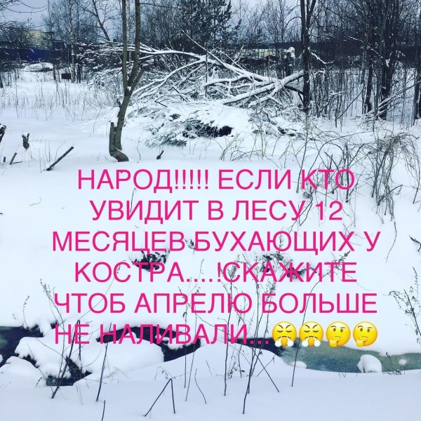 Шутки про зиму