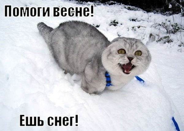 Приколы про зиму