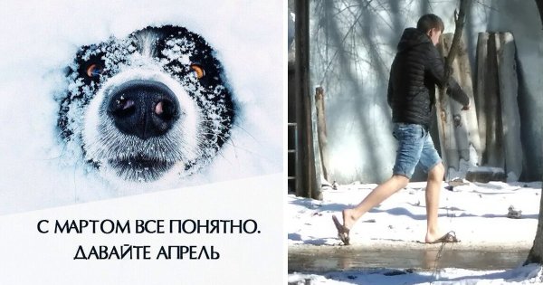 Смешное про весну