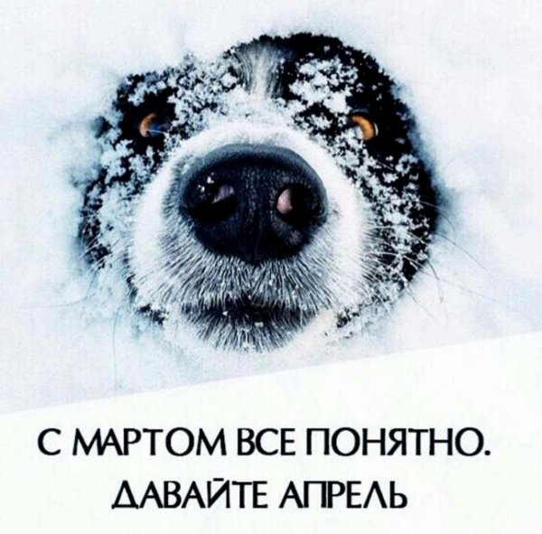 Весна картинки прикольные