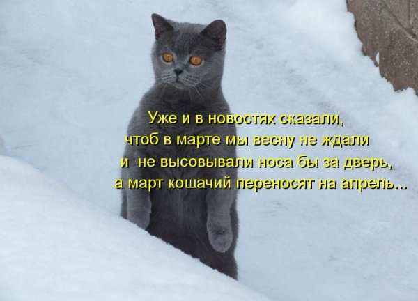 Жду весну