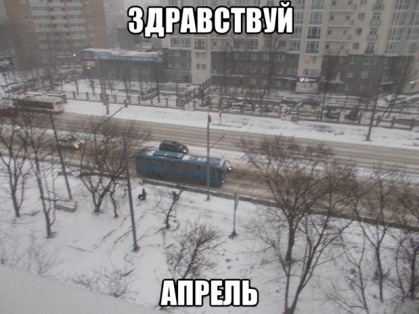 Снег в апреле прикольные