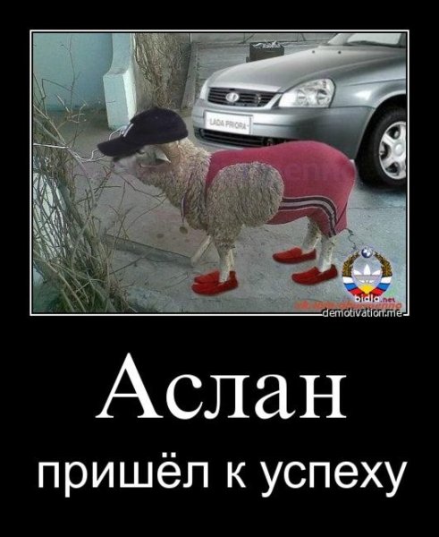 Приколы с именем Аслан