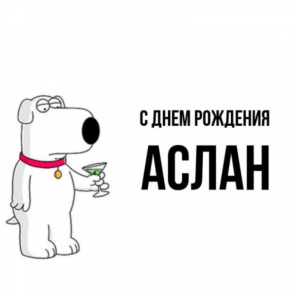 Поздравление с днём рождения Аслана