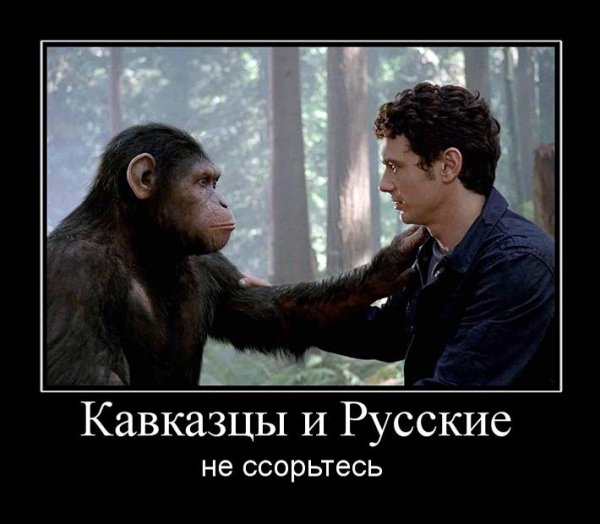 Мемы про Аслана