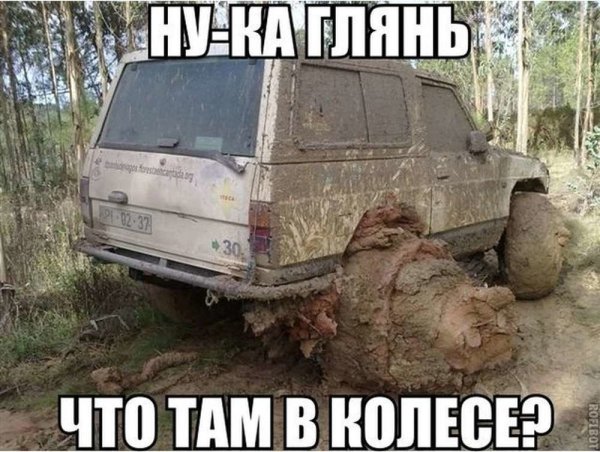 Авто картинки прикольные