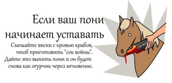 Стишок про бесмертноготпони