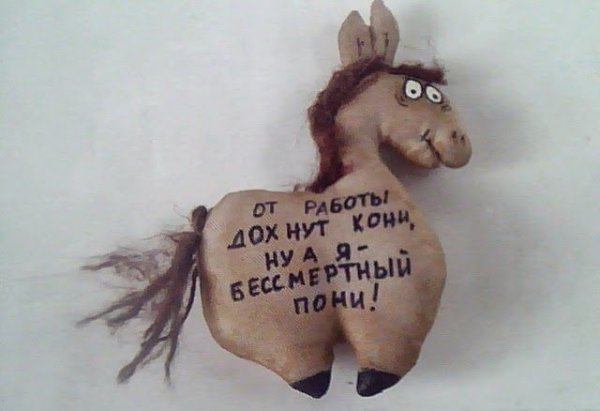Стишок про Бессмертного пони