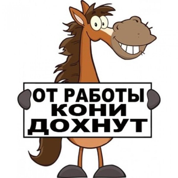 Смешная лошадь