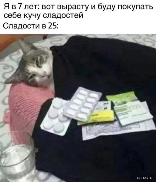 Больной кот
