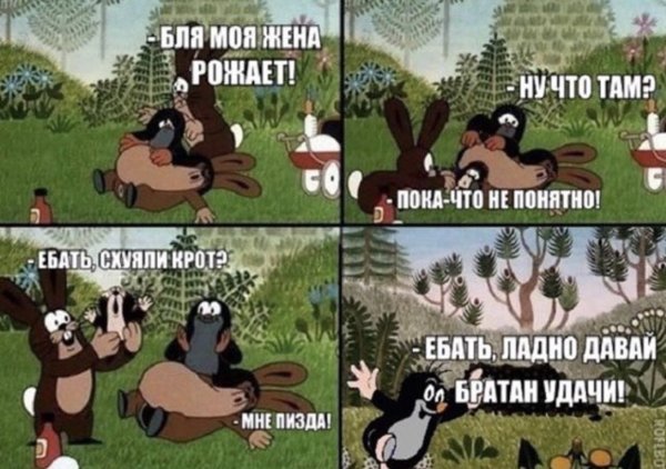 Шутки про крота