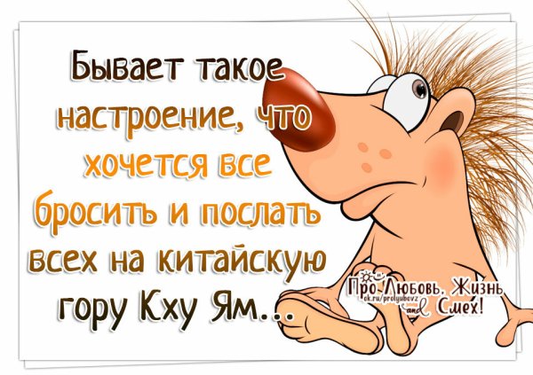 Афоризмы для поднятия настроения в картинках
