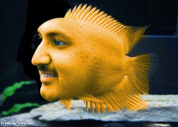 Лицо рыбки