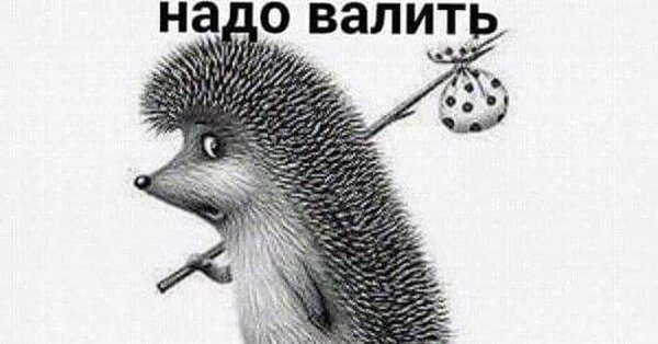 Еж с котомкой