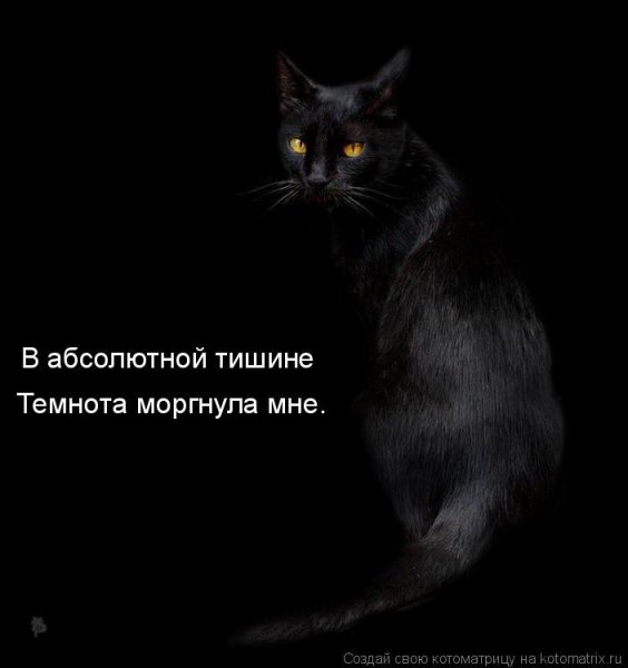 Цитаты про черный цвет