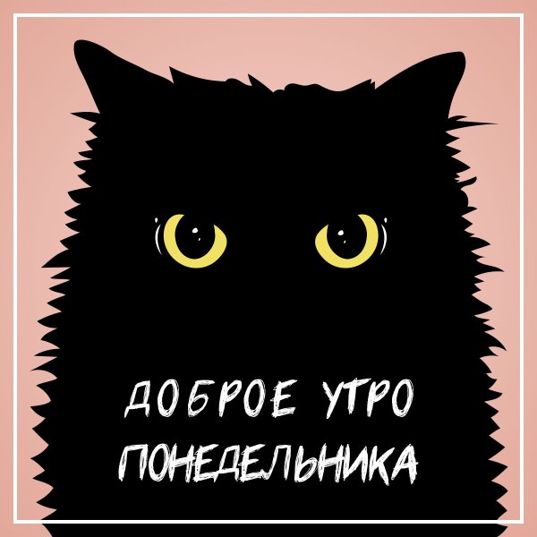Кот в понедельник рисунки