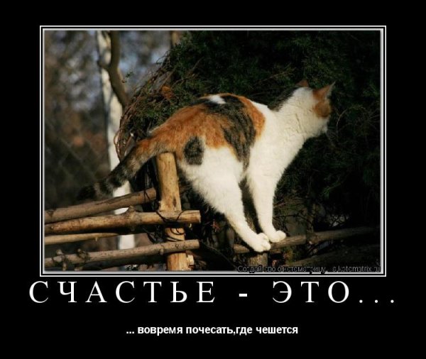 Чешется прикол