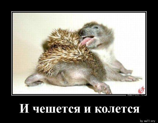 И хочется и колется
