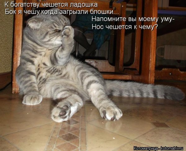 Нос чешется картинки прикольные