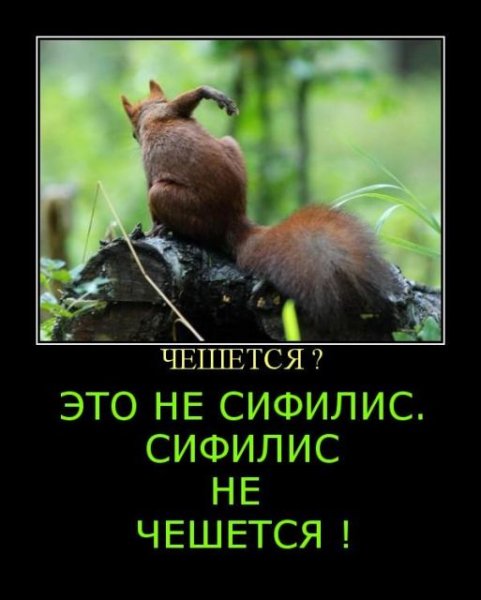 Чешется Мем