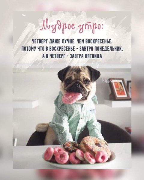 Доброе утро четверга прикольные смешные