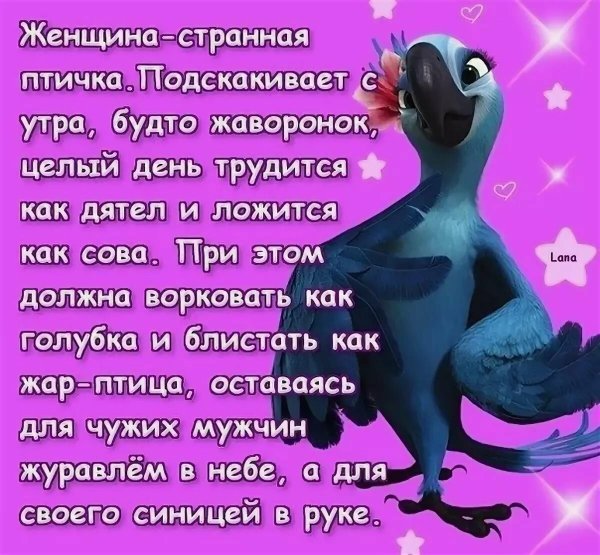Стихи с юмором о жизни
