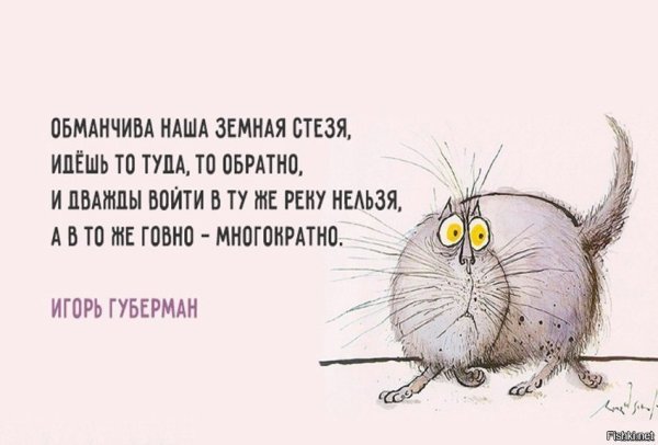 Короткие стихи Губермана