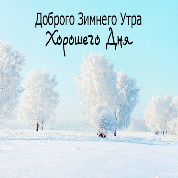 Хорошего зимнего дня