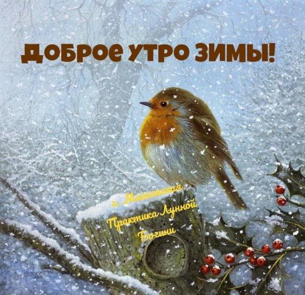 Доброе утро картинки красивые зимние