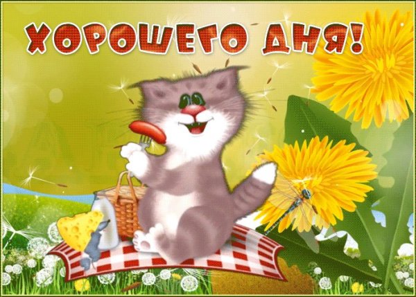 Хорошего дня котики