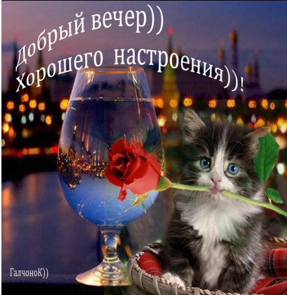 Открытка хорошего вечера и настроения